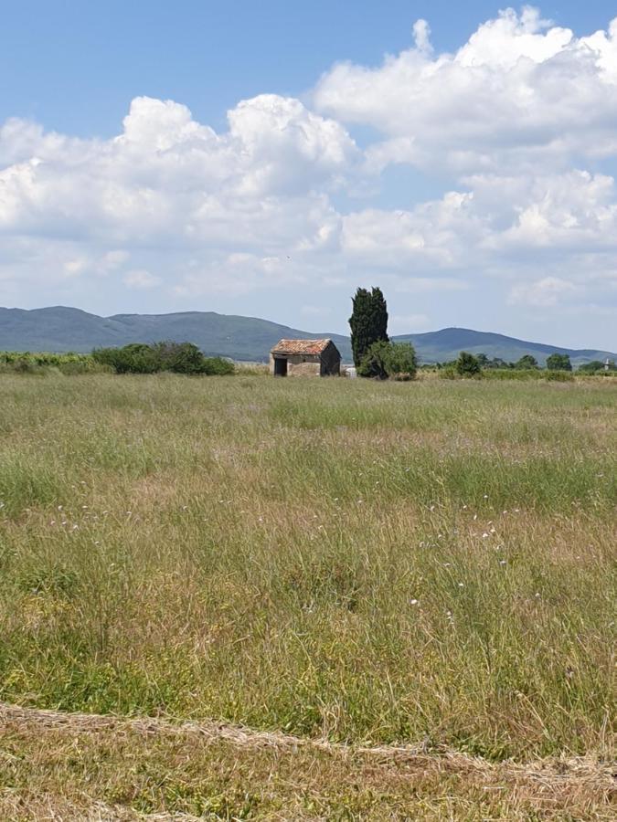 La grange du Cade Villa Magalas Bagian luar foto